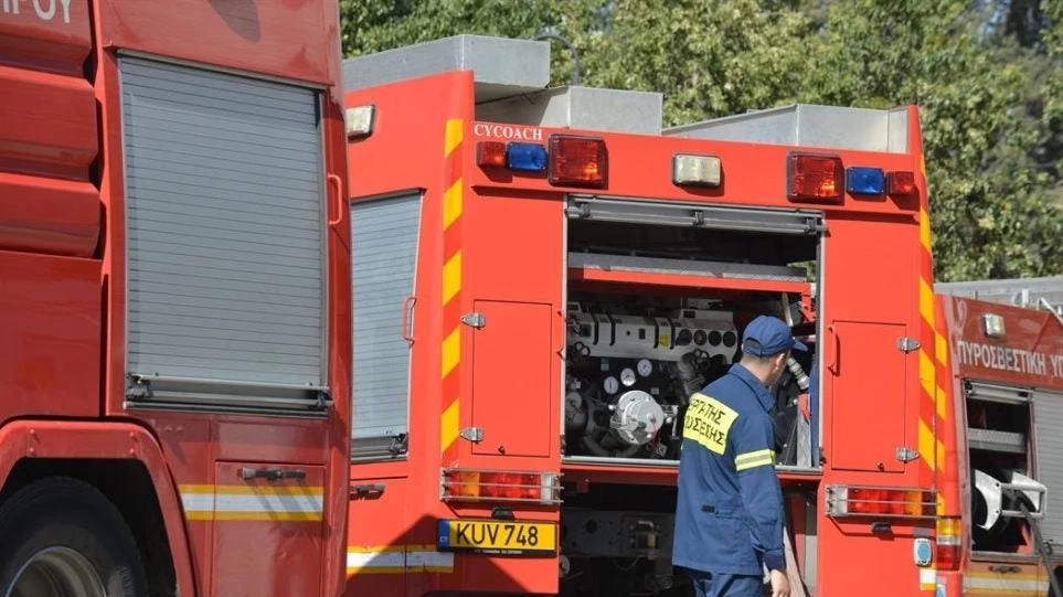 Ρουμάνα έβαλε φωτιά στο άλσος του Πεδίου του Άρεως